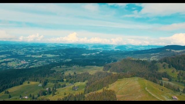 “Спелый август…" стихи Ирины Фетисовой (Мullerson), видео Алексея Брюшневского. смотреть онлайн