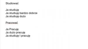 ПОЛЬСКИЙ ЯЗЫК ДО АВТОМАТИЗМА. УРОКИ ПОЛЬСКОГО ЯЗЫКА. УРОК 1