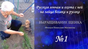 Фильм #1 - Выращивание Щенка - Русская гончая и охота с ней на зайца беляка и русака