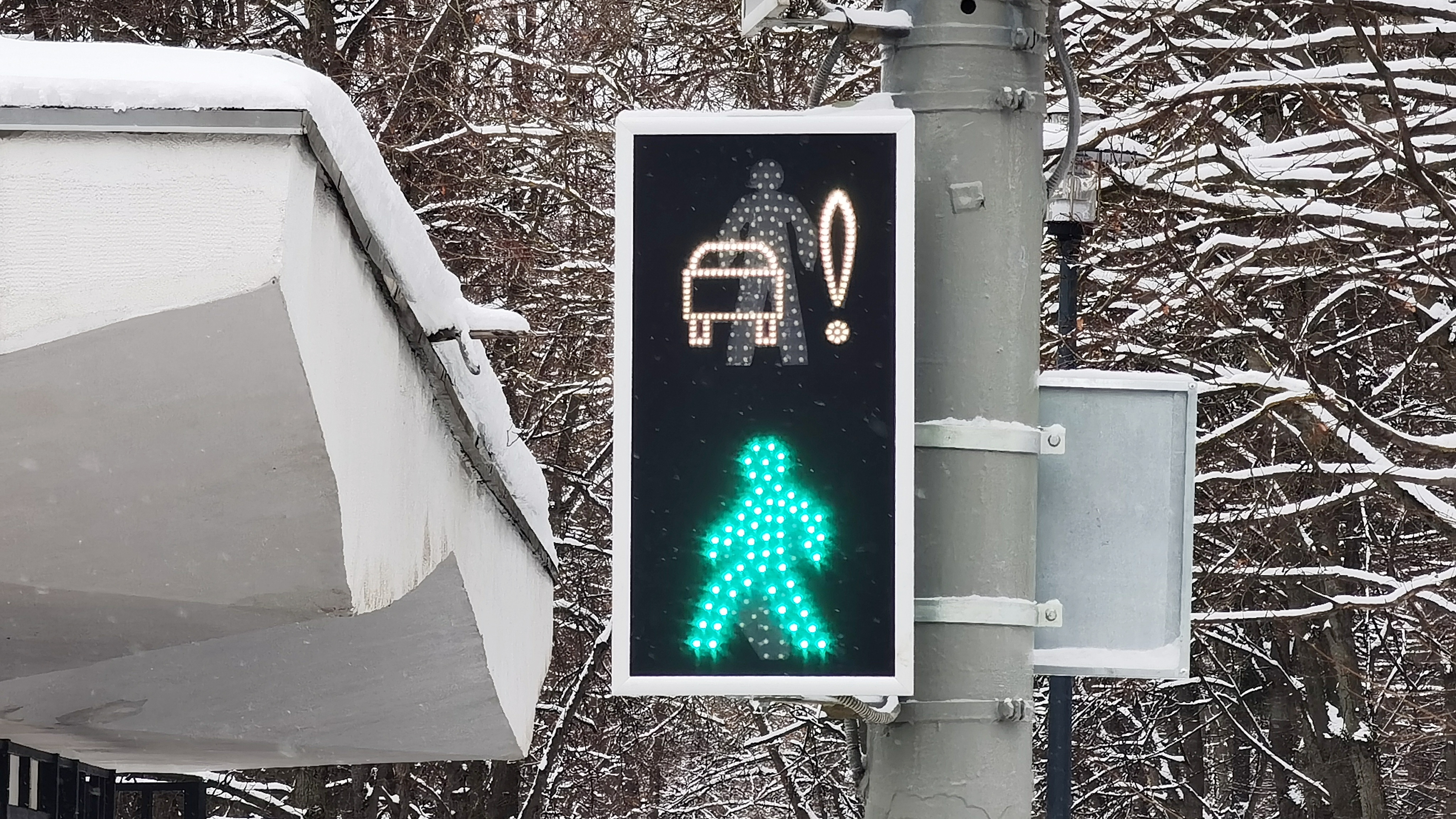 Главное в Зеленограде за неделю с 5 по 11 февраля смотреть онлайн