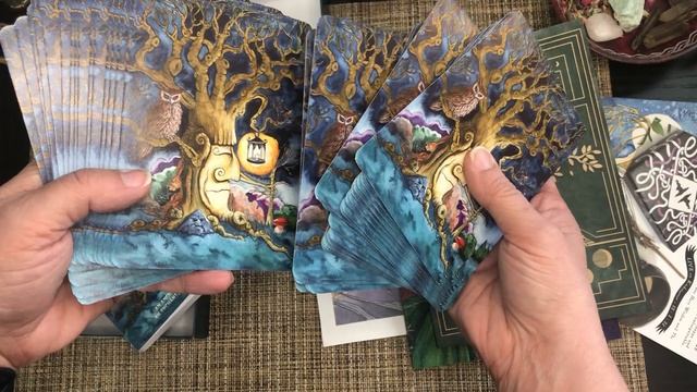 Unboxing The Complete Arboridium - Oracle deck, Book and Journal by Phil & Jacqui Lovesey смотреть онлайн
