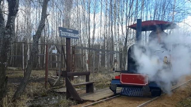 Паровоз на Переславской узкоколейке. Дачная железная дорога. Narrow gauge steam. смотреть онлайн