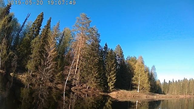 Голодный сплав по Ваймуге смотреть онлайн