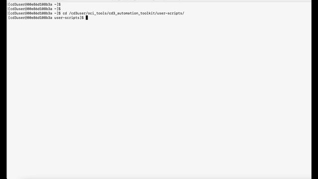 How to Connect the Container to Tenancy with CD3 Part 4 смотреть онлайн