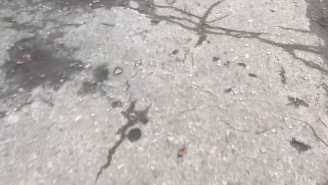 Послушный бигль Чили смотреть онлайн