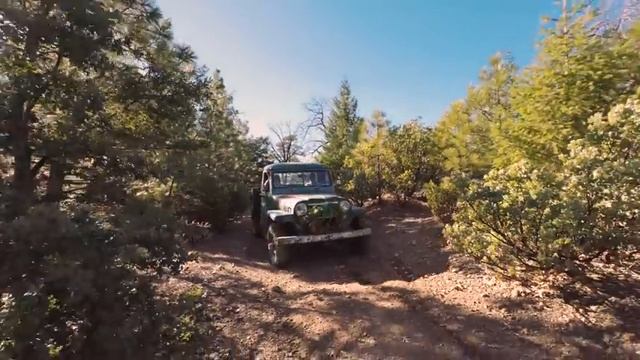 Willys Truck Warehouse Pickup 4 Wheeling in 4k смотреть онлайн