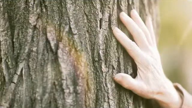 Мир Обоев.mp4 смотреть онлайн