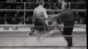 Мирко Крокоп (Mirko Crocop)