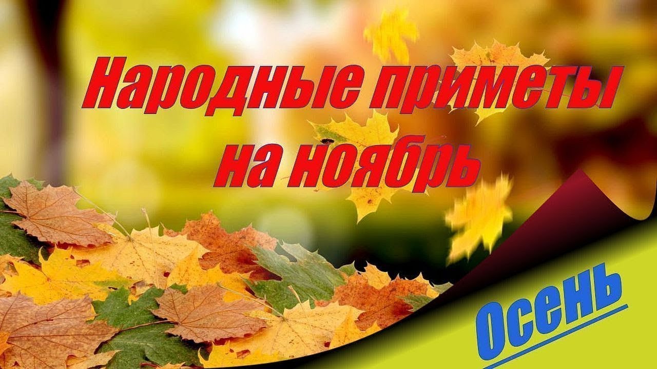 Народный календарь примет- на ноябрь месяц. смотреть онлайн