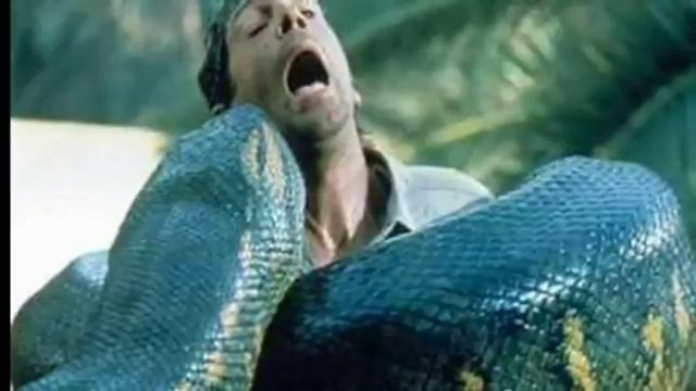 Интересные факты Как в Африке охотятся на питонов! смотреть онлайн