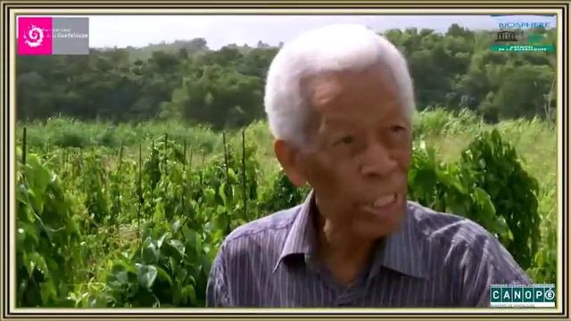 Lucien Degras - « Souvent, nature varie » смотреть онлайн