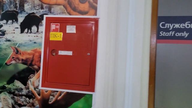 Музей Байкала в мраморном здании ж/д вокзала Слюдянки. 26.06.203 смотреть онлайн