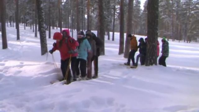 Военно патриотическая игра Зарница ЦДТ смотреть онлайн