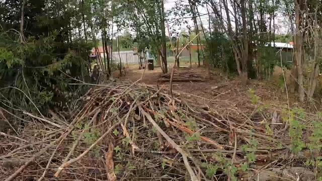 Чистим участок от валежника. смотреть онлайн