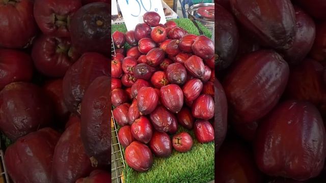 Syzygium malaccense смотреть онлайн