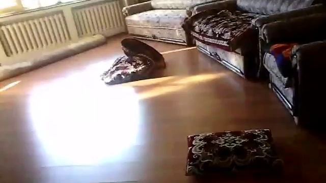 Играем в Дочки Матери!! смотреть онлайн