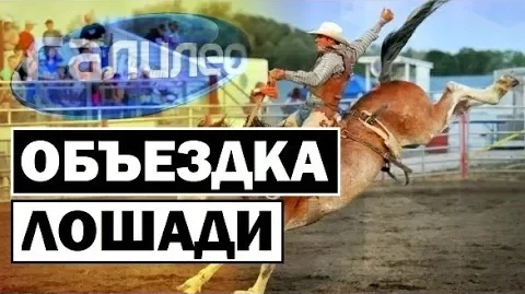 Галилео | 0083 ? Как приручить лошадь? смотреть онлайн