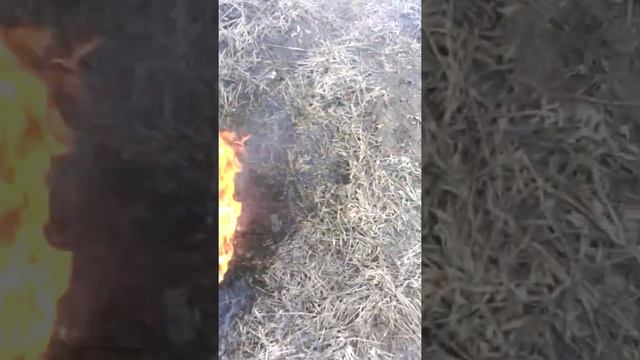 Горит машинное масло смотреть онлайн