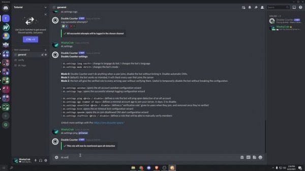 Double Counter Discord Bot COMPLETE Setup - The BEST verification bot