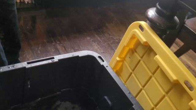 Cambridge Rescue go's as Planned смотреть онлайн