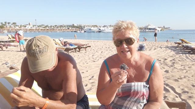 О ПЛЮСАХ И МИНУСАХ ОТДЫХА ПЕНСИОНЕРОВ В ЕГИПТЕ ЗИМОЙ. смотреть онлайн