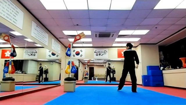 Taekwondo - Tornado, 540 Kick Target смотреть онлайн
