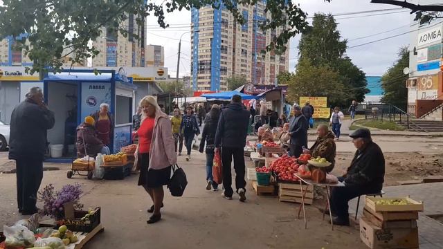 Самара Димитрова 95 к1 обзорное смотреть онлайн
