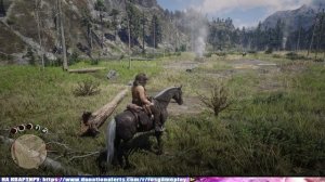 Red Dead Redemption 2 ► Гайд Карта сокровищ шайки Джека Холла ► #7