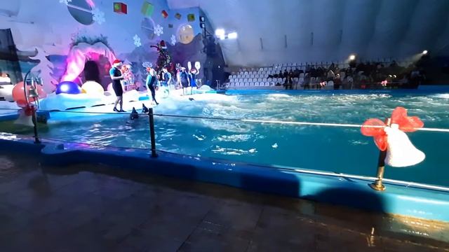 Дельфинарий немо Новогодние шоу Гринча финал. смотреть онлайн