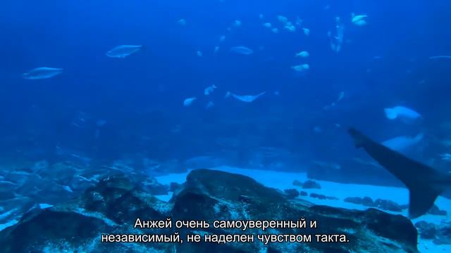 Значение имени Анжей. Толкование, судьба, характер смотреть онлайн