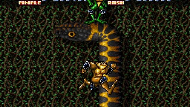 [TAS] SNES Battletoads in Battlemaniacs "2 players" by Dooty in 18:19.75 смотреть онлайн