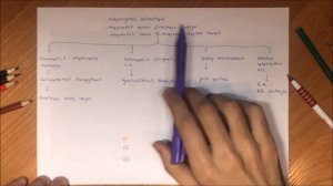 Миокардит