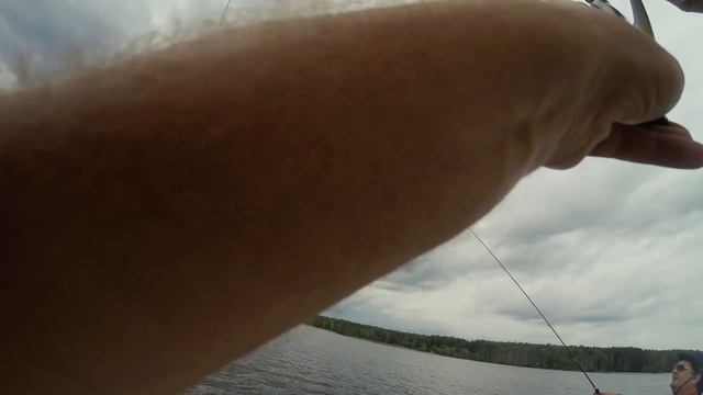 Рыба На Ходу