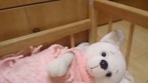 влог с лаки доги джулей , ддуля заболела 😥