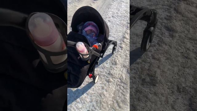 Влог с реборном Аделиной! Зимняя прогулка. -24 градуса!❄️🥶 смотреть онлайн
