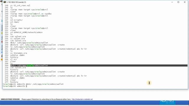 Securing Credentials Using Wallet смотреть онлайн