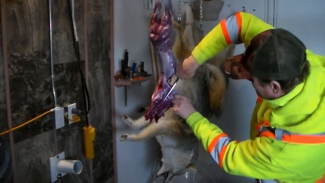 Разделка зайца! Канада смотреть онлайн