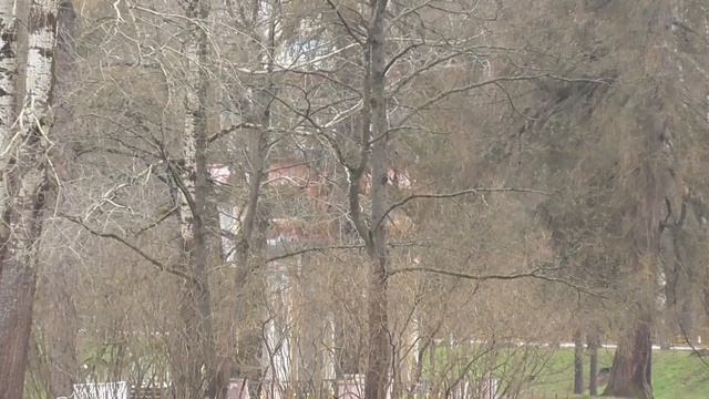 Екатерининский парк. Белокопытник. смотреть онлайн