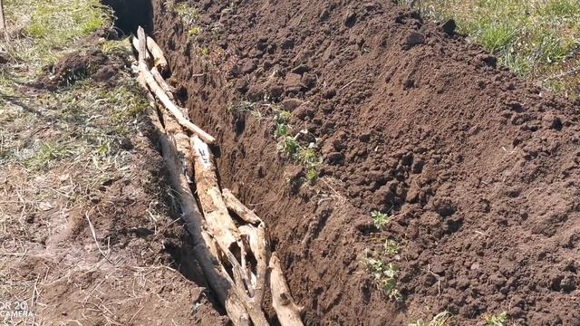Посадка малины траншейным способом! Часть1 смотреть онлайн