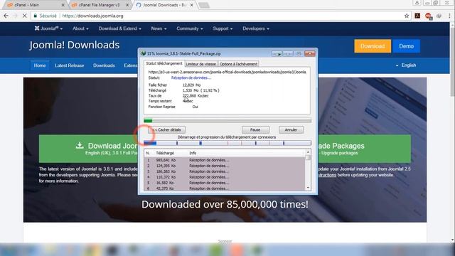 2 Downloading Joomla and Wordpress смотреть онлайн