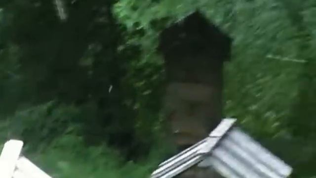 Как проверить мёд? Никак! Берите у знакомых пчеловодов!