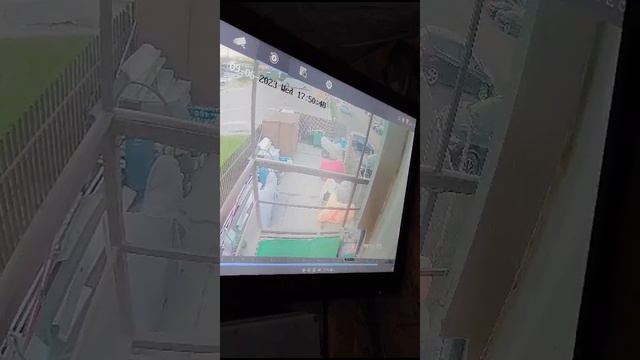 KTM 690 sm LC4 supermoto упал смотреть онлайн