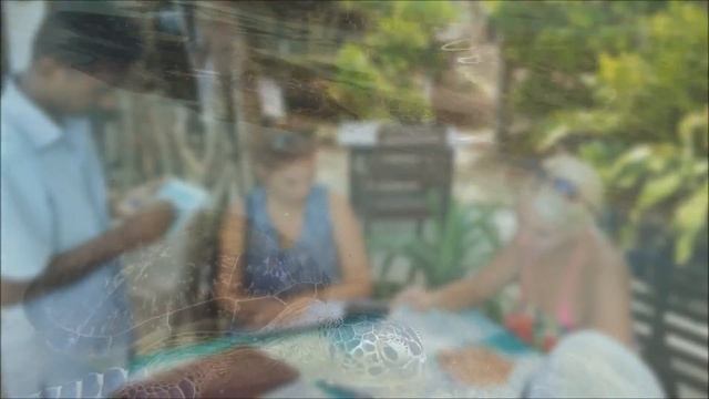 ХИККАДУВА . Лучший пляж . Черепахи . HIKKADUWA . Turtle Beach