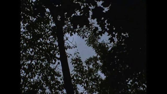 Hilltop at Montalvo смотреть онлайн