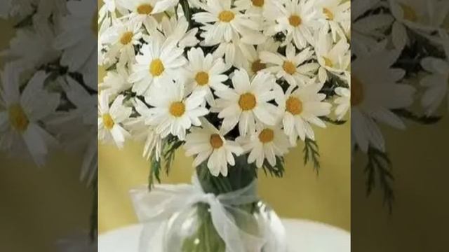Ромашковый букет (Алёна Далида) смотреть онлайн