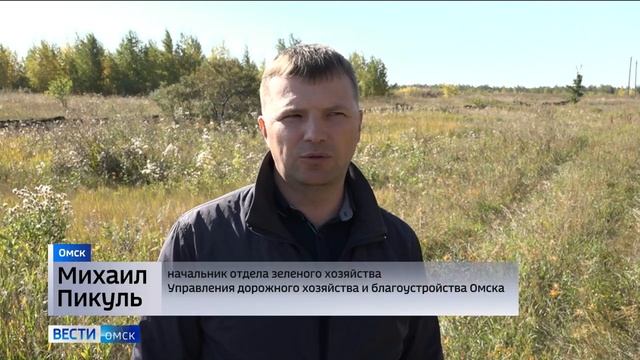 В Омске обустроили более 100 километров минерализированных полос смотреть онлайн