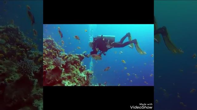 The diving in red sea Sinai Egypt. Three pools and moray garden dive sites in dahab Sinai Egypt اج смотреть онлайн
