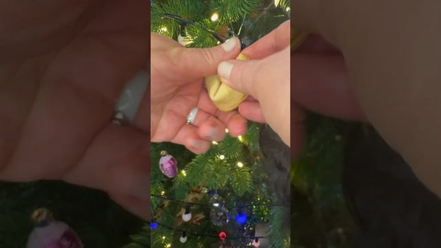 Адвент календарь. День 4.Предсказание 🥠 . #riesenschnauzer #ризеншнауцер #адвенткалендарь