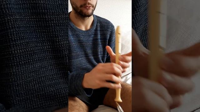Cómo tocar en la flauta dulce (recorder) las notas re sostenido agudo o mi bemol agudo (re♯':mib') смотреть онлайн