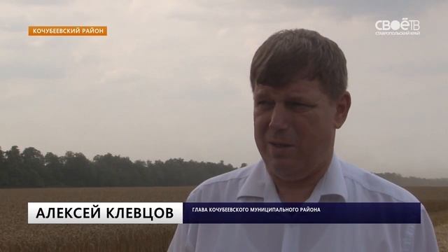 Рекордный урожай кочубеевских хлеборобов смотреть онлайн